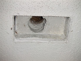 Air Vent